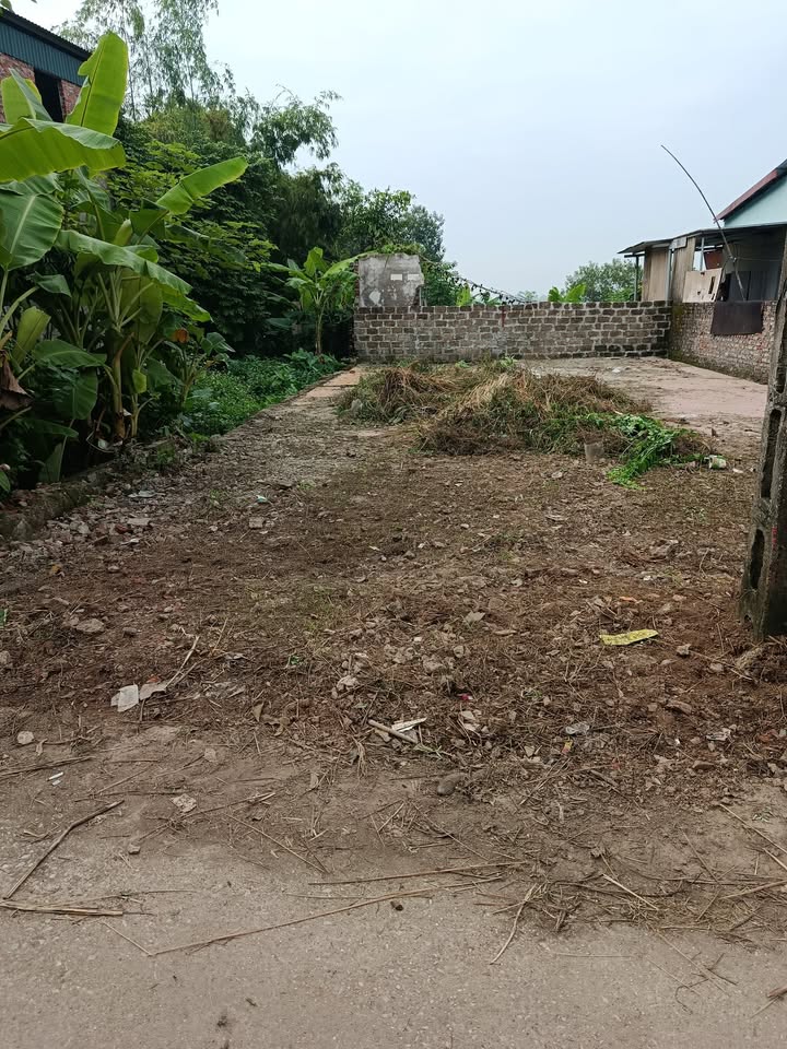 Đất nền Tiên Cát, Việt Trì 67m² - Vị trí trung tâm, giá thỏa thuận!