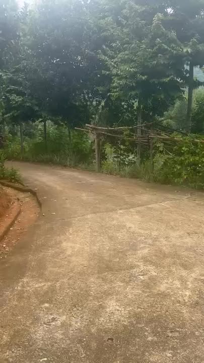 Lô đất nghỉ dưỡng 23ha tại Tam Thanh, Tân Sơn - Phú Thọ, giá thỏa thuận!