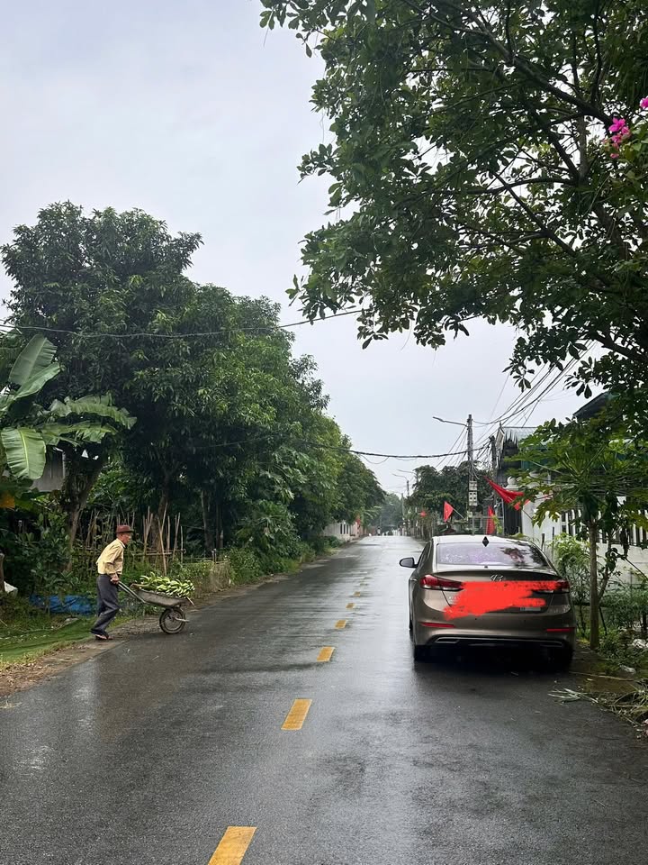 Đất thổ cư Nguyễn Văn Linh, Việt Trì 120m² giá 4 tỷ - Cơ hội đầu tư sinh lời cao!