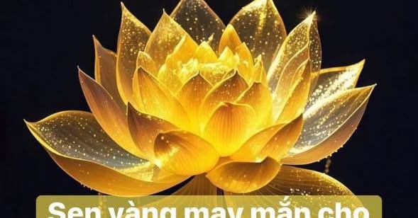 Đất đẹp Đống Đa, Quy Nhơn 79m² giá 3 tỷ - Tiềm năng đầu tư cao!