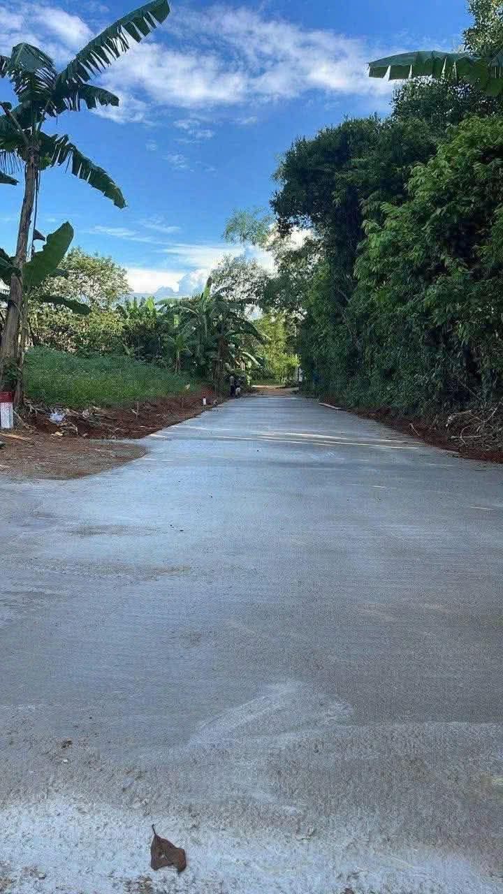 Đất nền Cửa Tùng, Quảng Trị 203m² giá 200 triệu - Đầu tư sinh lời ngay!