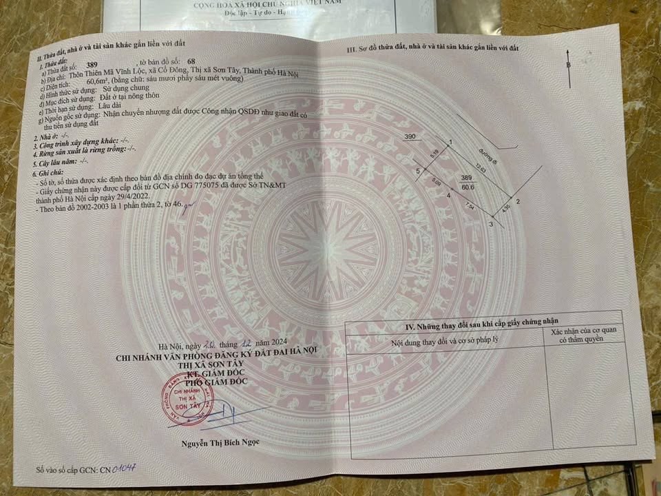 Đất nền Cổ Đông 60,6m² giá 1,5 tỷ - Đường thông ô tô vào tận nơi!