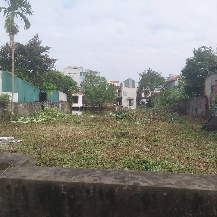 Đất nền Phụng Châu Chương Mỹ 500m² - Đầu tư sinh lời ngay!