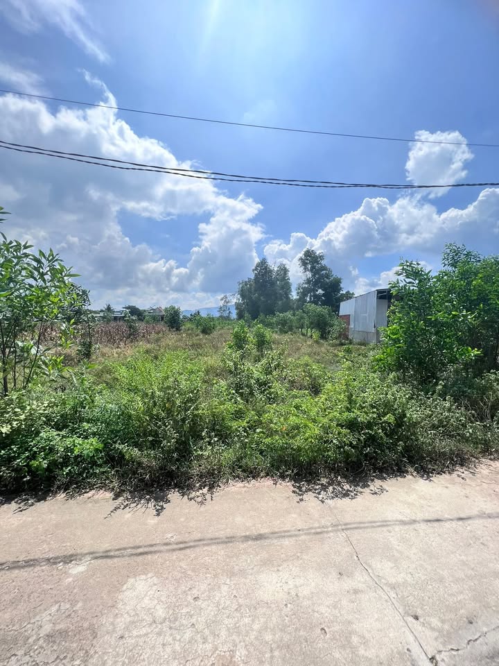 Đất nền Xuân Hòa 945m² giá chỉ 70.88 tỷ - Cơ hội đầu tư tuyệt vời!