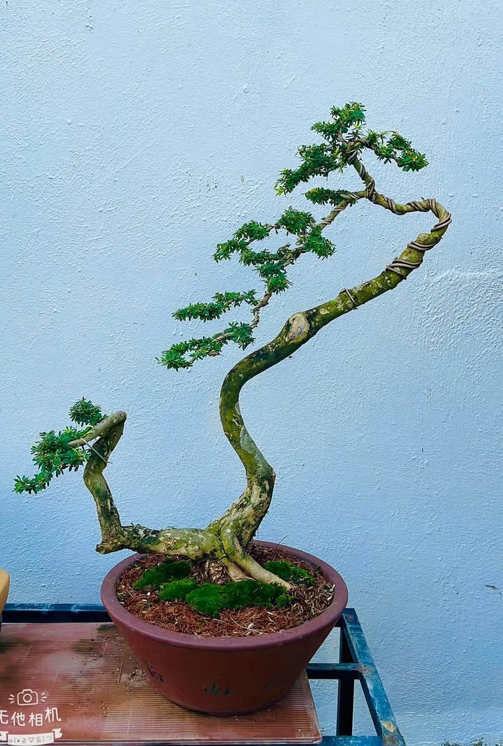 Kho bãi trên mặt tiền đường tỉnh lộ 879C, Châu Thành, Long An - Giá 8 tỷ, sẵn sàng hoạt động!