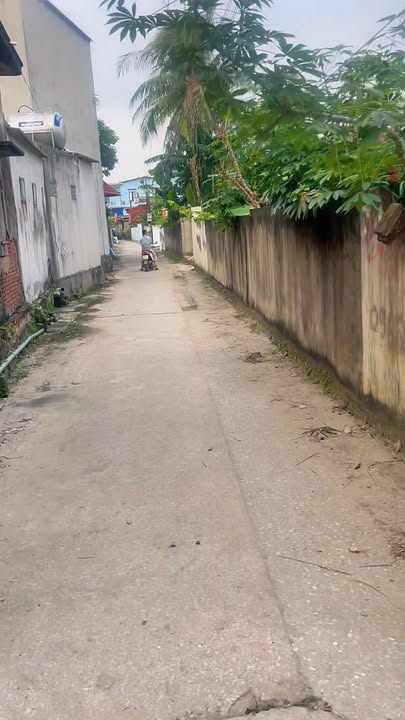 Đất nền Hưng Lộc, Hậu Lộc 98m² - Gần chợ, trường học, trạm y tế - Đầu tư sinh lời!