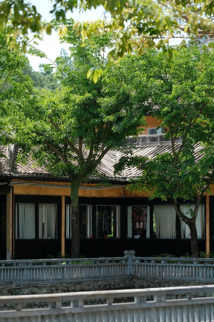 Đất nền lô góc 273m² tại Thảo Nguyên, Mộc Châu - Giá chỉ 7 tỷ, cơ hội đầu tư hiếm có!