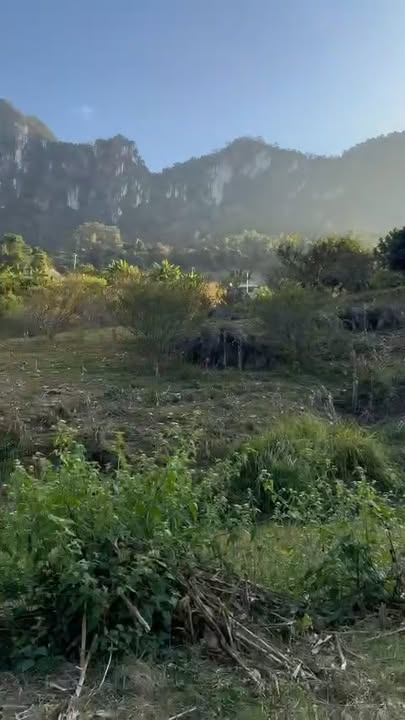 Đất vàng Mộc Châu 1.225,6m² - Tiềm năng đầu tư cực lớn!