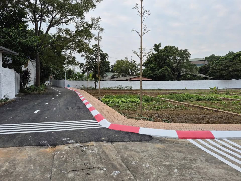 Đất thổ cư Phúc Lộc, xã Đoài Phương 192m² giá chỉ 1.92 tỷ - Cơ hội đầu tư hấp dẫn!