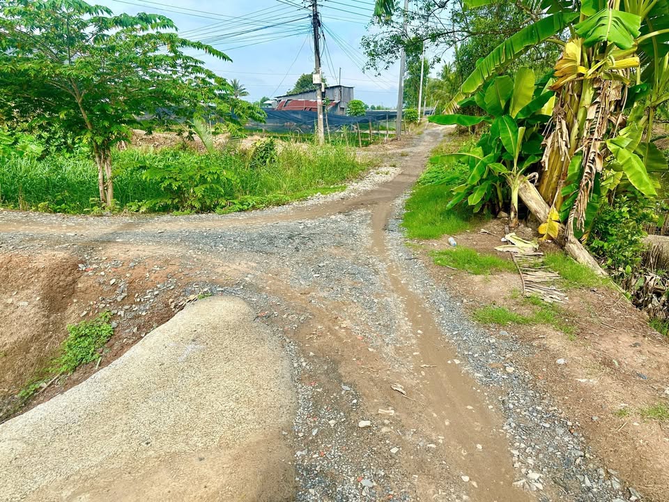 Đất nền 301m² tại phường Bình Minh, Vĩnh Long - Giá chỉ 419 triệu - Cơ hội đầu tư hấp dẫn!