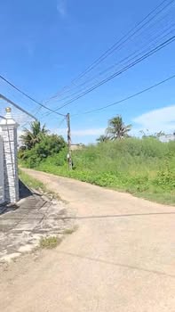 Đất cây lâu năm 1620m² Khu phố Lâm Giáo - Giá chỉ 1.9 tỷ