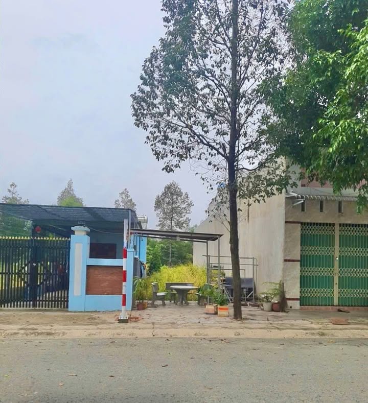 Đất nền 150m² đường D4b Thới Hòa, Bến Cát chỉ 1.6 tỷ - Cơ hội đầu tư hấp dẫn!