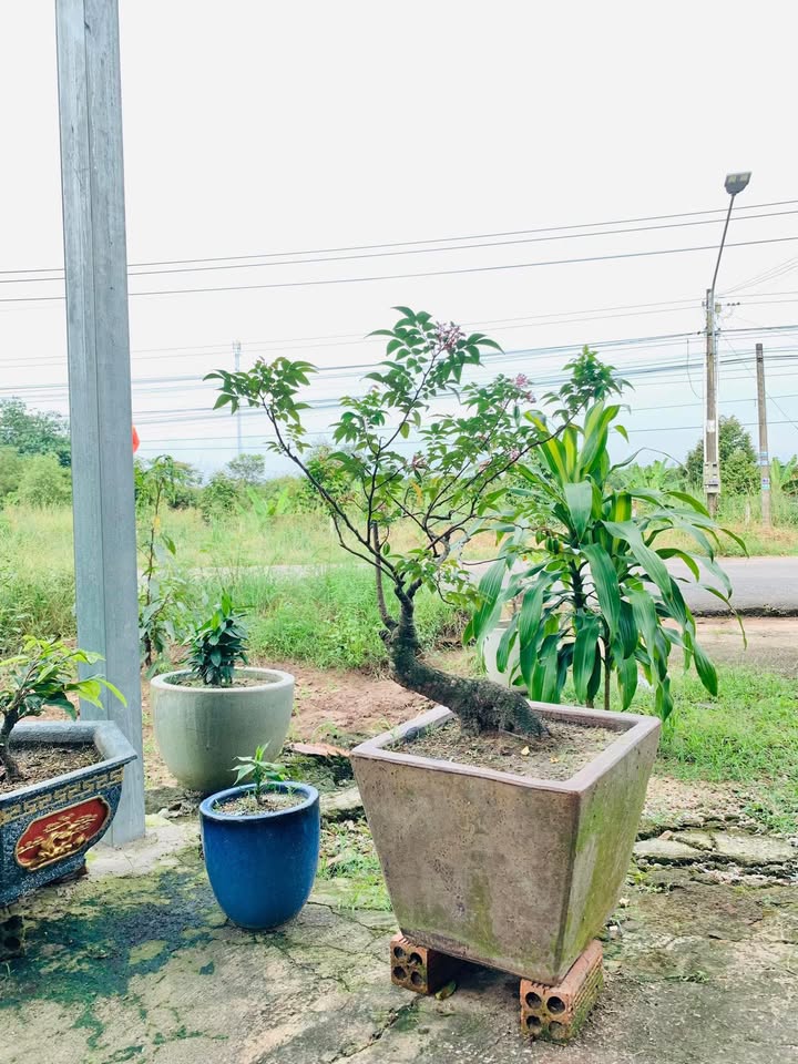 Nhà riêng hẻm 60 đường Phan Bội Châu, Phước Vĩnh 280m² giá 1.75 tỷ - Cơ hội đầu tư tuyệt vời!