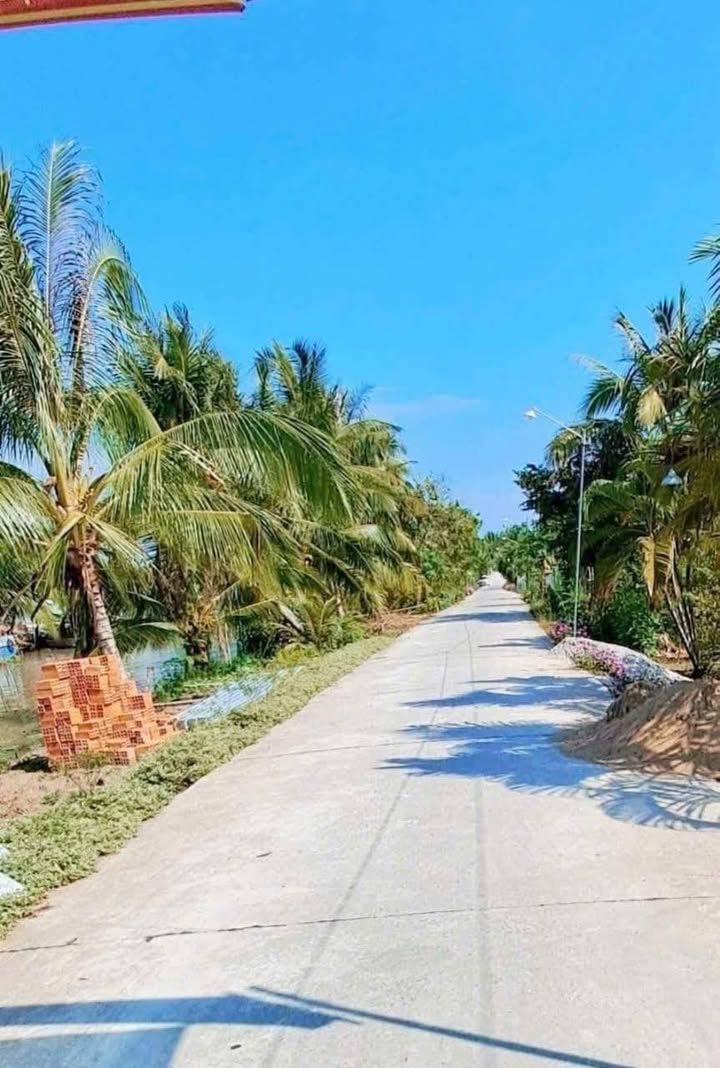 Đất thổ cư 120m² tại xã Thạnh Phú, Cờ Đỏ - Chỉ 290 triệu, ngay mặt tiền đường!