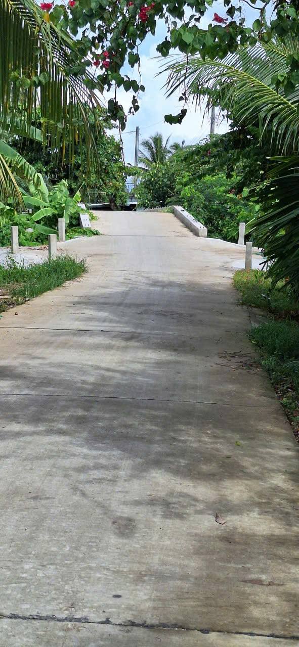 Đất nền ấp Giồng Chùa B, xã An Hiệp, 4200m² chỉ 3 tỷ - Sổ đỏ chính chủ, ô tô vào tận nơi!