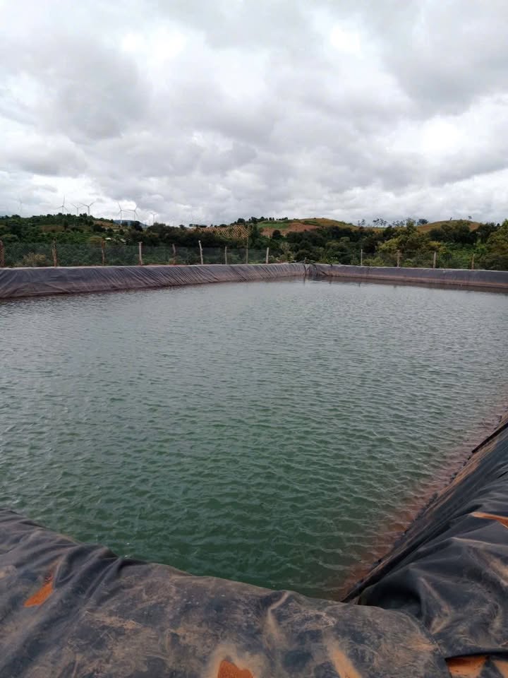 Đất nông nghiệp Ea Sin, Krông Búk 30.000m² giá 5.94 tỷ - Đất đẹp, hạ cà phê mới!