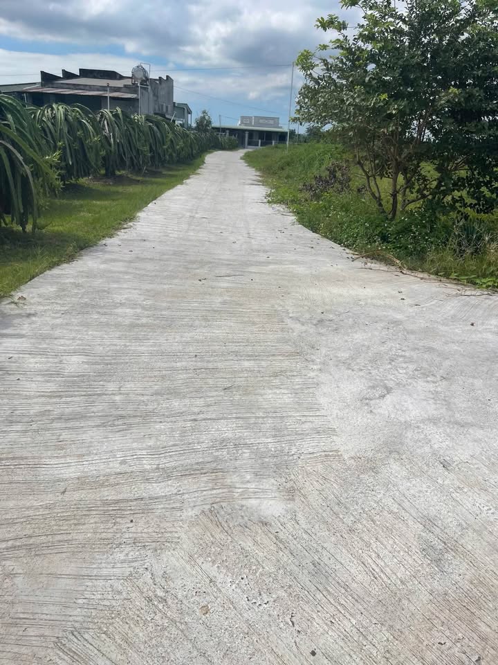 Đất nền Phường Bình Thuận, Phan Thiết 800m² chỉ 300 triệu - Sổ hồng riêng chính chủ!