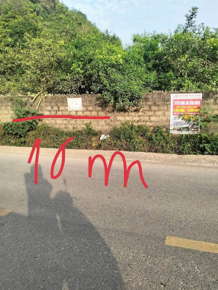 Đất mặt tiền Quốc lộ 45, Phú Long, Nho Quan 240m² giá 2 tỷ - Cơ hội đầu tư tuyệt vời!