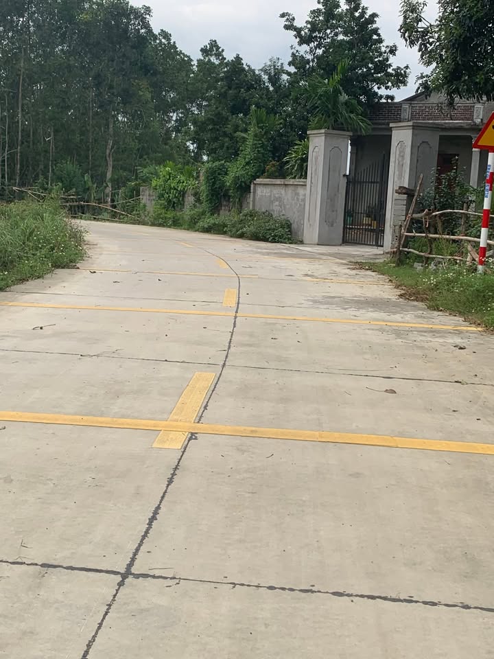 Đất nền Yên Sơn Tam Điệp 125m² giá 800 triệu - Sổ hồng chính chủ, vị trí đắc địa!