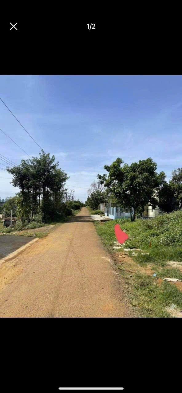 Đất nền Lộc Đức Bảo Lâm 310m² giá 650 triệu - Cơ hội đầu tư không thể bỏ lỡ!