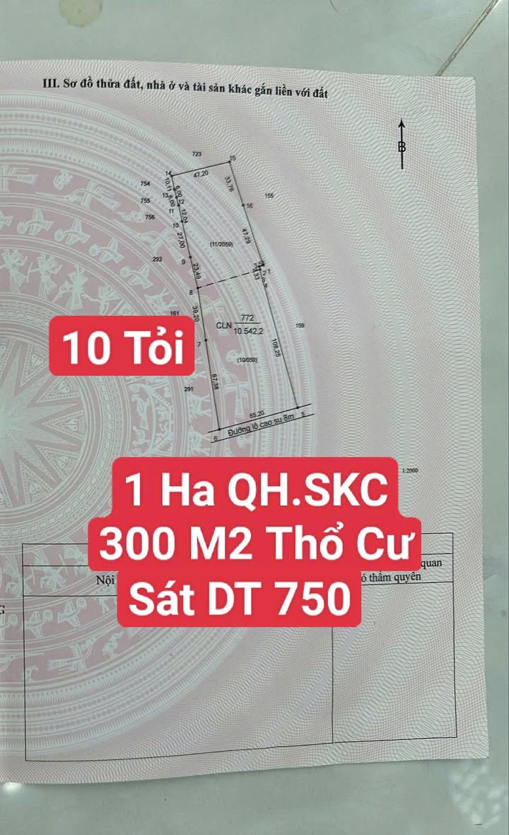 Đất nền 1 Hecta Định Hiệp Dầu Tiếng 10 tỷ - Pháp lý rõ ràng, kênh xe container
