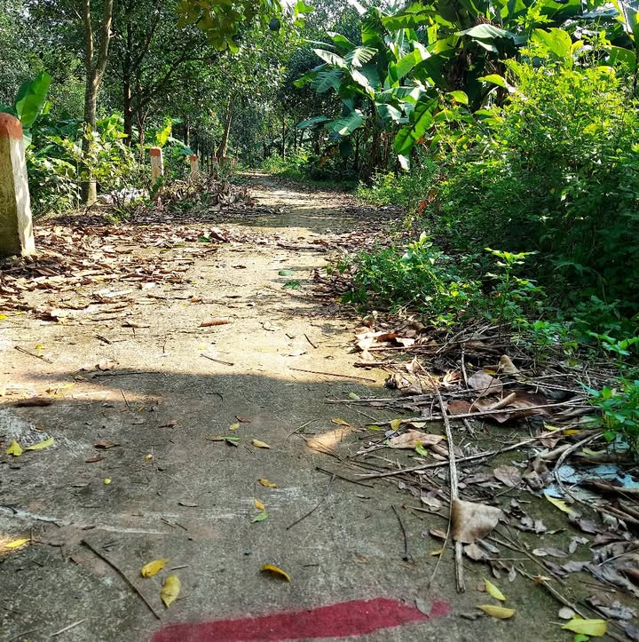 Đất nền 524m² tại Đức Thượng, Hoài Đức - Giá chỉ 3 tỷ, Sổ đỏ chính chủ!