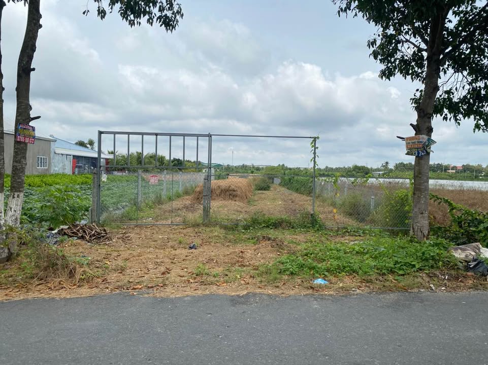 Đất Cần Thơ 909m² giá 3 tỷ - Mặt tiền đường huyện 16, cơ hội đầu tư tuyệt vời!