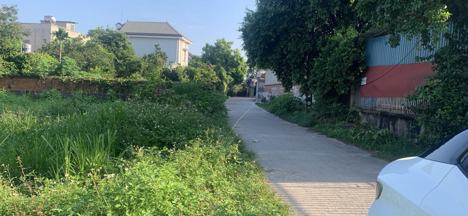 Đất thổ cư thôn Sơn Giao, xã Ngọc Sơn 235m² chỉ 1.x tỷ - Đường thông thoáng, tiện ích đầy đủ!