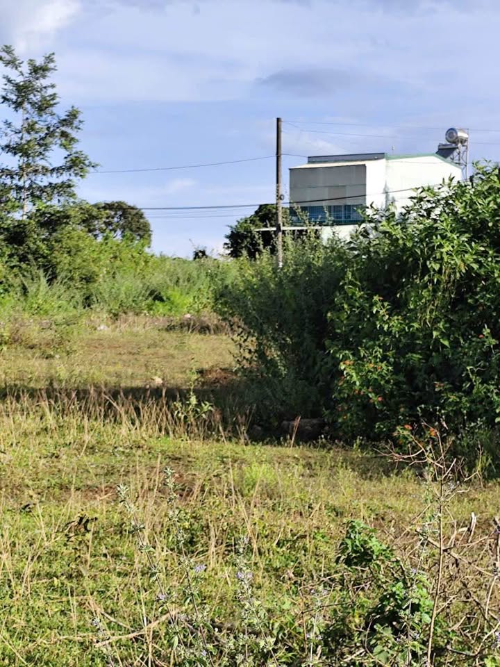 Đất nền hẻm Nguyễn Tuân, Phường An Phú 127m² giá 590 triệu - Cơ hội đầu tư tuyệt vời!