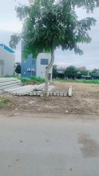 Đất dự án Làn 2 Vân Động Lục Nam 240m² giá thỏa thuận - Mặt tiền 15m, đầu tư sinh lời!