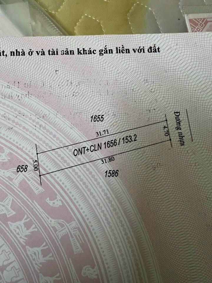 Nhà đất Thanh Thuận, Châu Thành, Tây Ninh 145m² giá 1.45 tỷ - Thương lượng tốt!