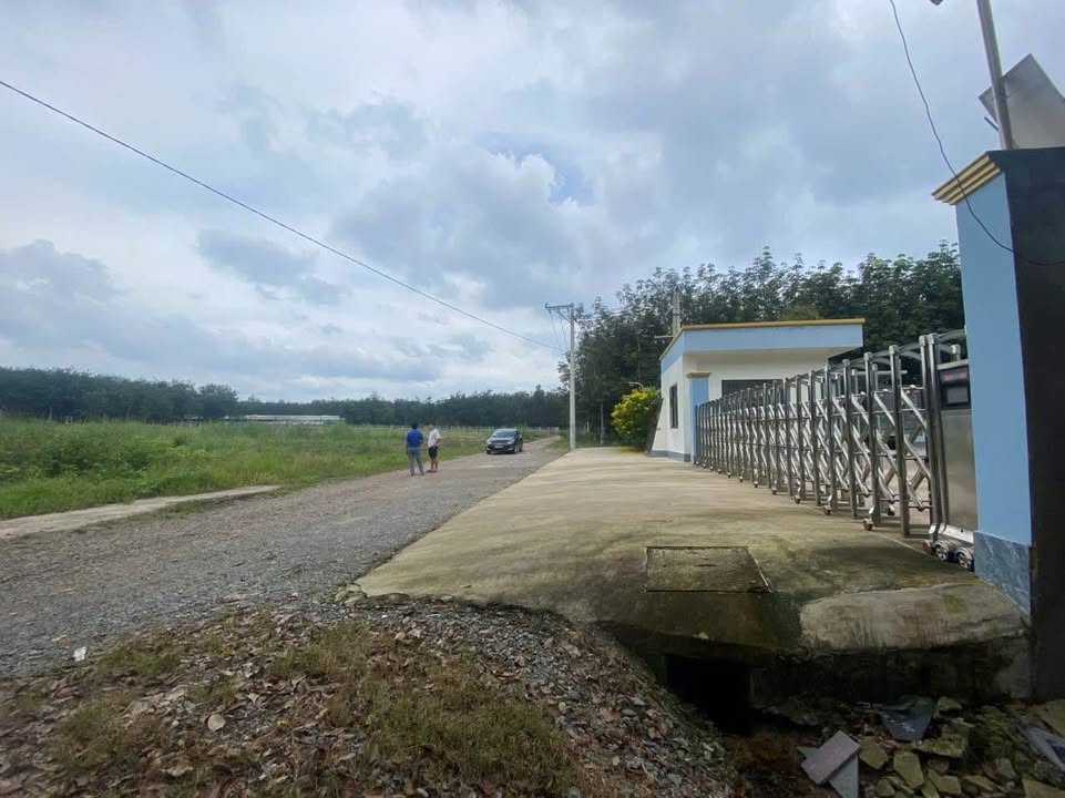 Đất vườn Long Nguyên 6300m² giá 6.5 tỷ - Cơ hội đầu tư hấp dẫn!