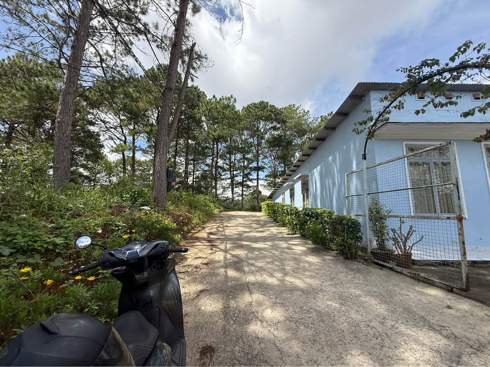 Nhà nghỉ dưỡng tuyệt đẹp đường An Sơn, Đà Lạt 550m² giá 6.6 tỷ - Đầu tư sinh lời hấp dẫn!