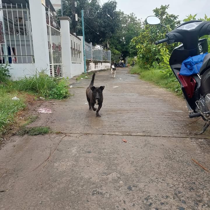 Đất thổ cư 157m² Phường 1, Sa Đéc - Gần Vincom chỉ 2 tỷ