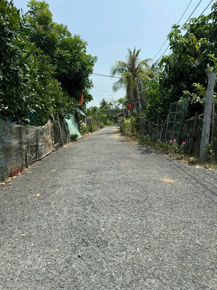 Đất nền nhà cấp 4 Thị Trấn Mỹ Thọ 380m² giá 950 triệu - Đầu tư sinh lời ngay!