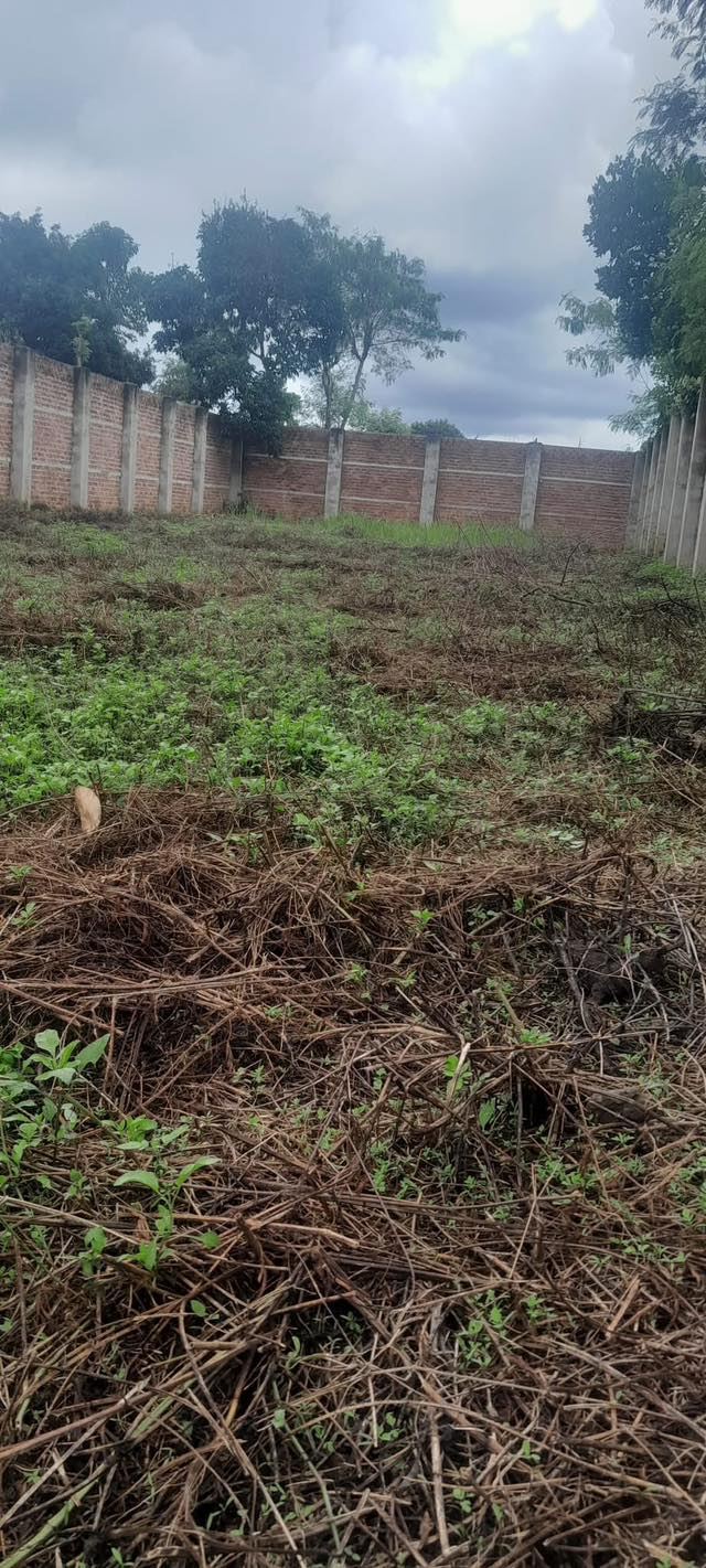 Đất nền kinh doanh tại Quốc lộ 26, Ea Phê, 780m² chỉ 1.3 tỷ - Đầu tư sinh lời ngay!