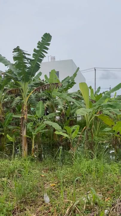 Đất nền khu tái định cư Nhơn Nghĩa 90m² giá 1.3 tỷ - Đầu tư sinh lời ngay!