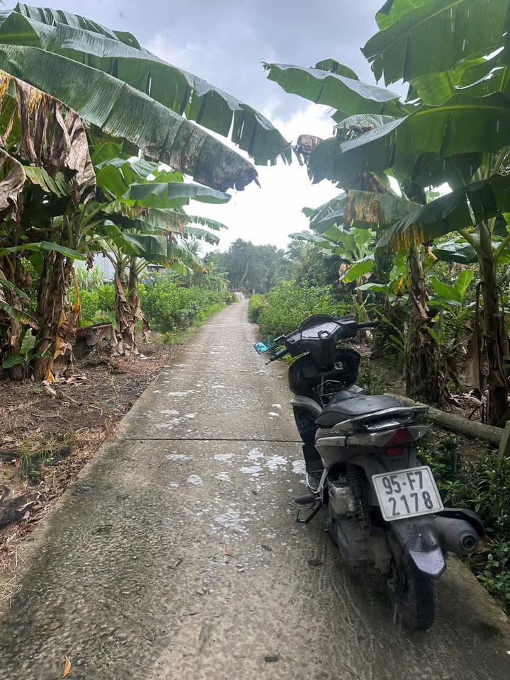 Đất nền ấp Mỹ 1, xã Hoả Lựu, 160m² giá 145 triệu - Tiềm năng phát triển lớn!