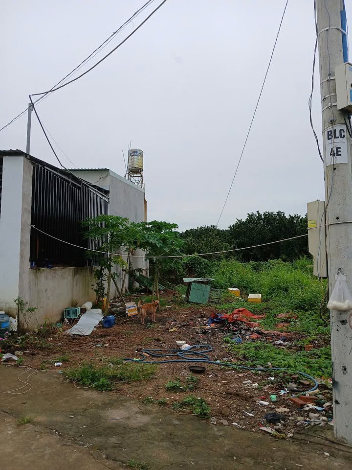 Đất nền xã Bình Lợi, Vĩnh Cửu 100m² giá 990 triệu - Sổ đỏ chính chủ, thương lượng tốt!