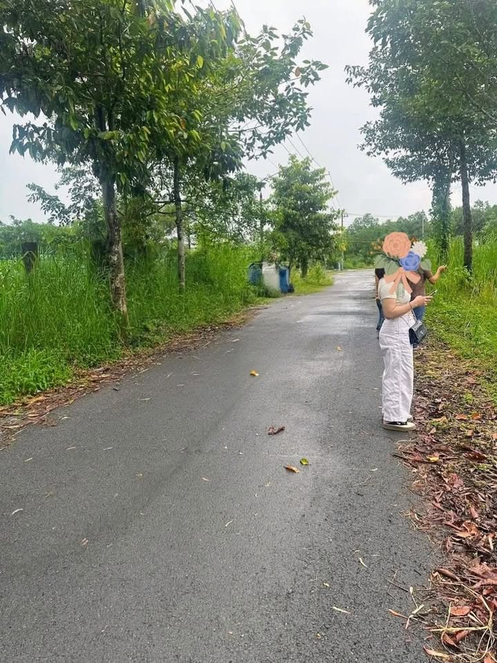 Đất nền Trị An, Vĩnh Cửu 257m² giá 1.55 tỷ - Mặt tiền đường nhựa thông thoáng!