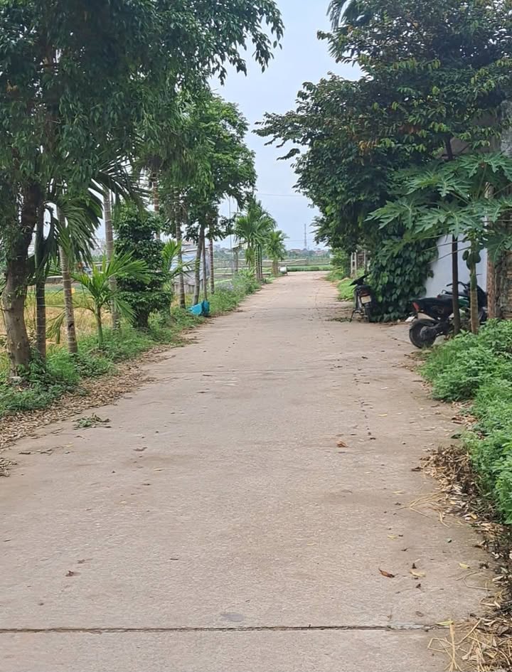 Đất thổ cư 170m² tại Chu Minh, Ba Vì - Giá chỉ 2 tỷ, vị trí đắc địa!