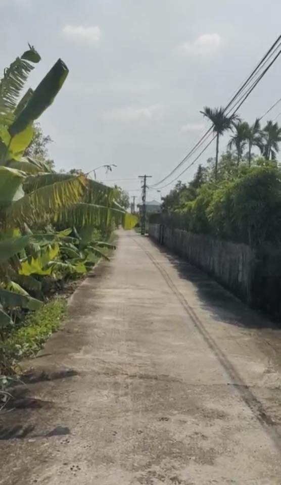 Đất nền Bắc Hải Tiền Hải 350m² chỉ từ 2 triệu/m² - Đầu tư sinh lời ngay!