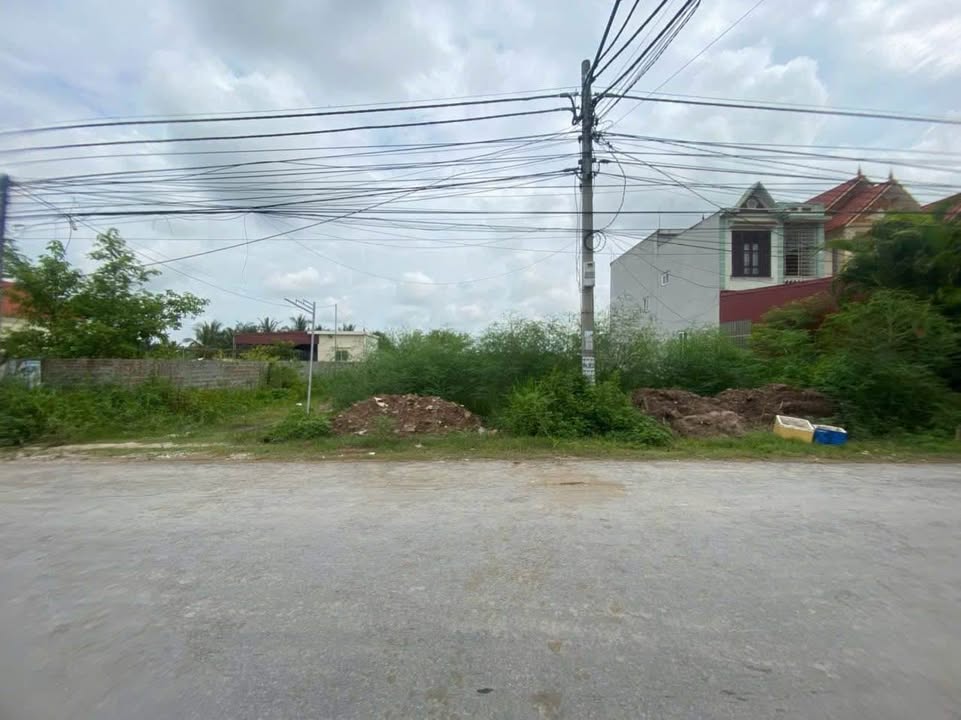 Đất nền Đồ Sơn 300m² giá 6 tỷ - Đầu tư sinh lời ngay lập tức!