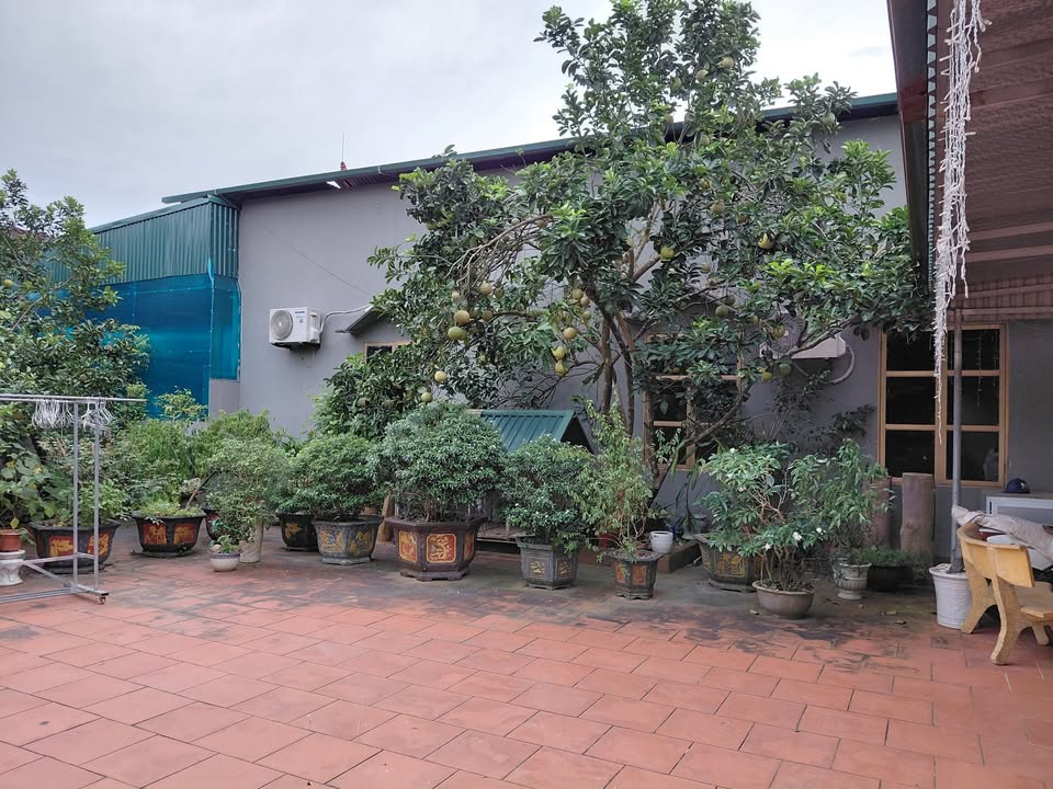 Lô đất 813m² tại Yên Thủy - Hai mặt tiền, vị trí đắc địa cho kinh doanh