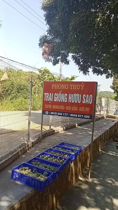 Đất nền Sân golf Tràng An Ninh Bình 800m² giá 8 tỷ - Chính chủ bán gấp!