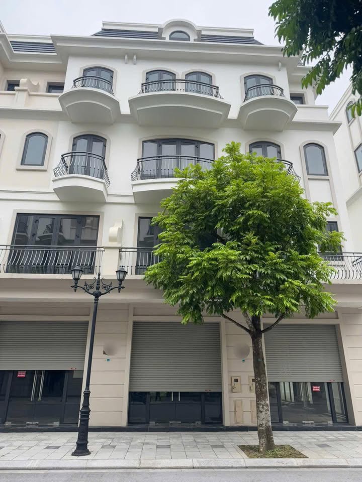 Căn hộ Vinhome Ocean Park 2 48m² giá 7.95 tỷ - Sổ đỏ chính chủ, ban công rộng rãi!