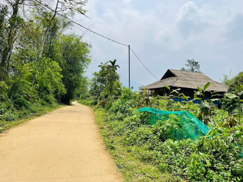 Đất nền Phong Quang, Vị Xuyên 1040m² giá 896 triệu - Vị trí đắc địa, tiện ích đầy đủ!