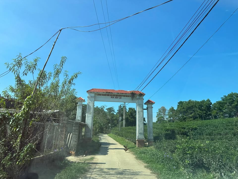 Đất thổ cư 3000m² Phú Đô, Phú Lương giá 1.3 tỷ - Cơ hội đầu tư tuyệt vời!