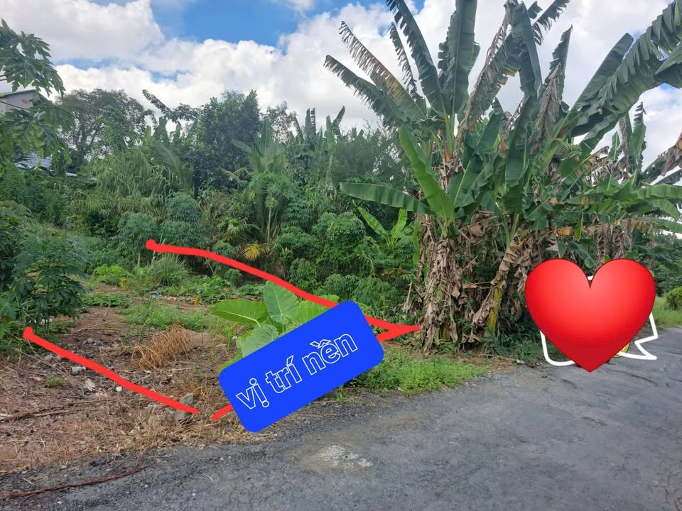 Đất thổ cư Mỹ Ngãi, Cao Lãnh 102m² giá 750 triệu - Cơ hội đầu tư hấp dẫn!