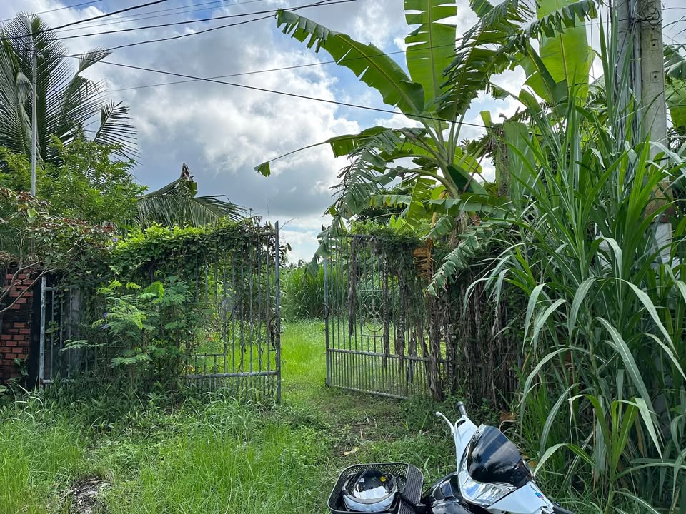 Đất thổ cư 1035m² tại Ấp Bình Thành, Chợ Gạo - Giá 9.9 tỷ, hướng Tây!